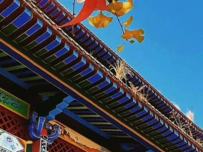 初冬修仁文庙，邂逅千年学府的诗意与静美