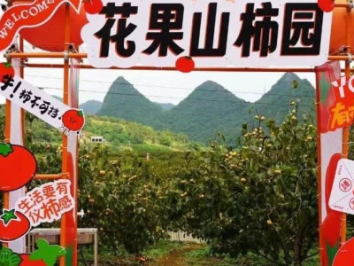 花果山柿园农庄年会 丨 “果”然有戏