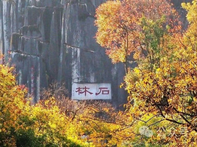 冬日到石林赴一场色彩盛宴