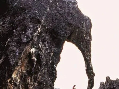 岩说石林：“喀斯特”与石林