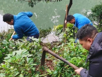 植绿桃花江畔  共筑生态桂林——两江四湖公司开展主题党日活动