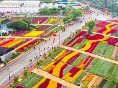 广西最大的！桂林这个基地美爆了