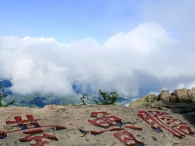 跟着课文游泰山丨品《望岳》 感受杜甫与泰山的千年对话