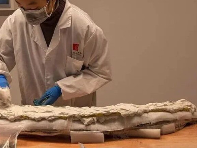 看“文保医生”如何守护象牙