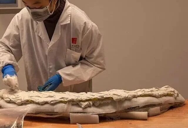 看“文保医生”如何守护象牙