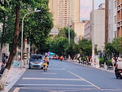 成华街：一条街的蝶变，一代人的记忆