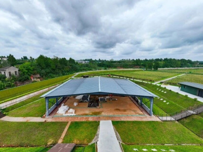 中国动植物考古大会为何落户资阳？