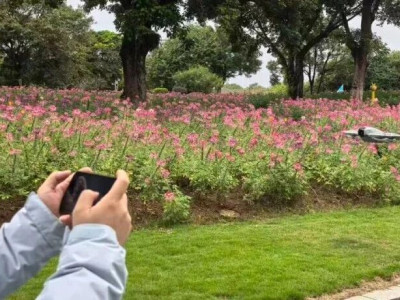 【子企业动态】桂林园博园：低空经济赋能文旅新体验