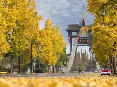 “等了一整年，青城山巅峰盛景已上线！”