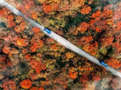 峨眉山市区任意酒店直达雷洞坪车站！景区官方直通车暖心上线