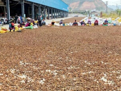 三江茶油上榜2025首批地标名品推荐名录