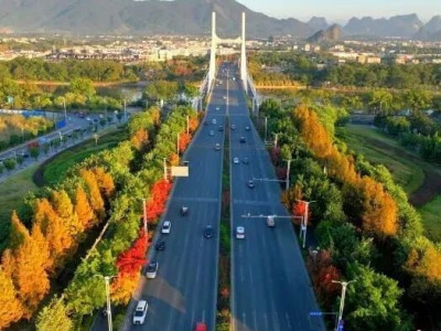 桂林赏叶季攻略：乌桕银杏枫香层林尽染，初冬浪漫观景地推荐