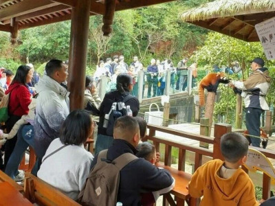 文旅深融丨碧峰峡免费科普伴游上线，解锁联票游客的专属森野体验