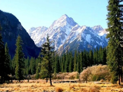 绵阳乡村旅游新体验：震撼村游攻略与必打卡景点推荐