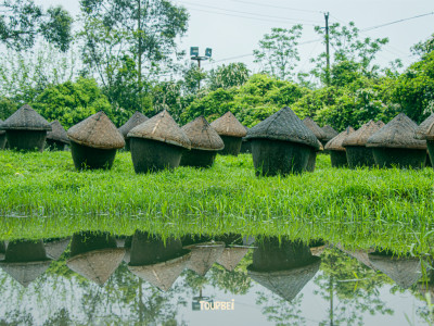 去桂林的春天，吹着凉风，撒点野