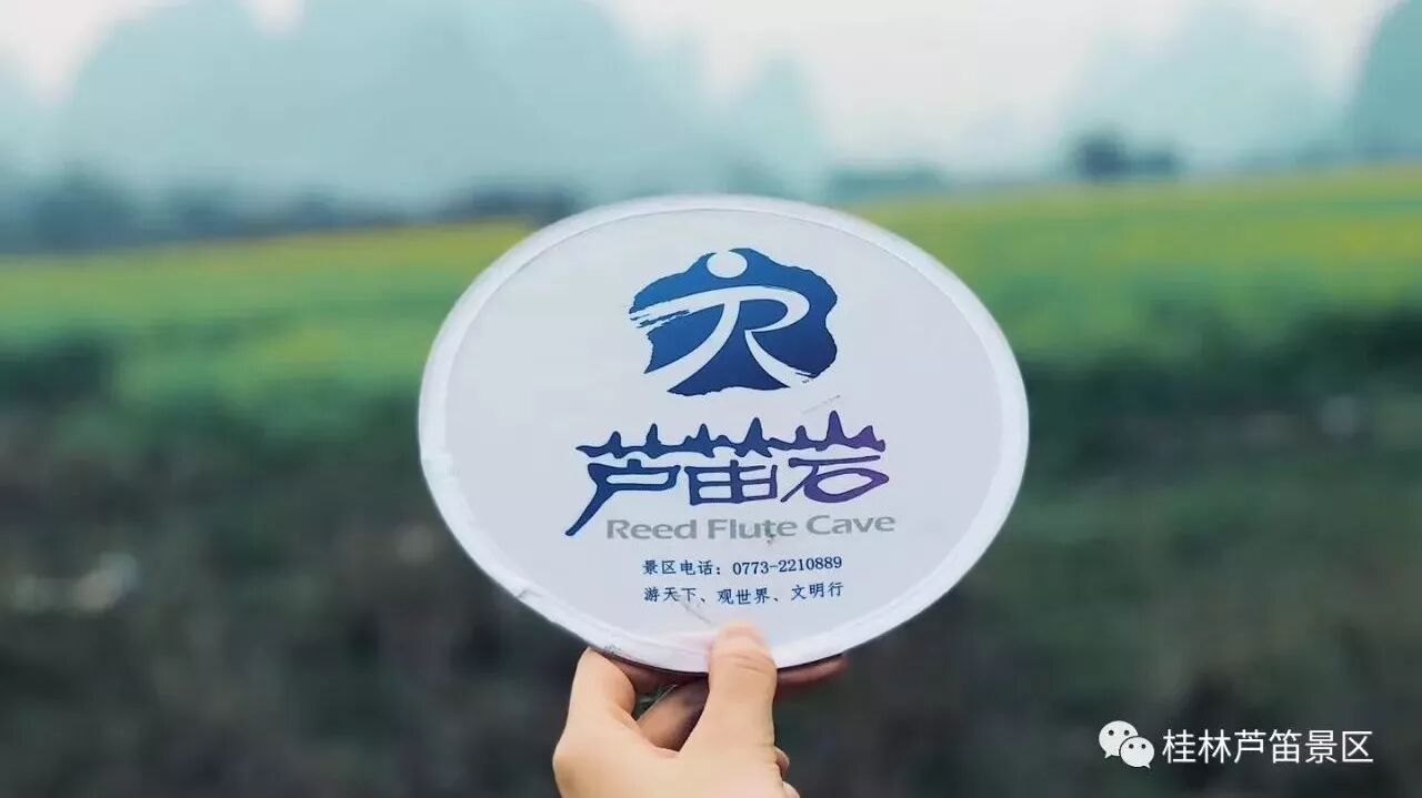 阳春三月下阳朔、赏花拓展乐开怀