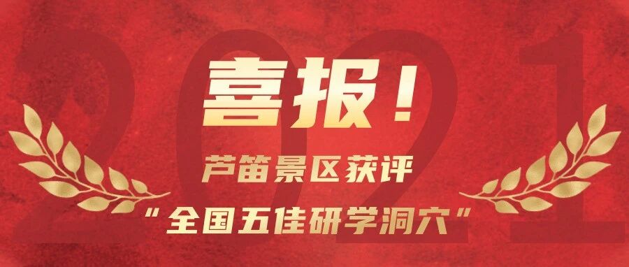 喜报|芦笛景区获评“全国五佳研学洞穴”！
