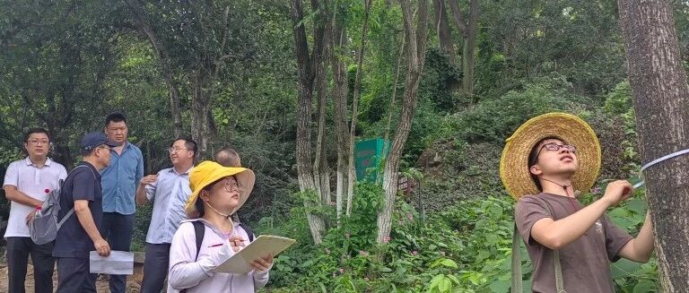 他们，在给象鼻山做“健康体检”