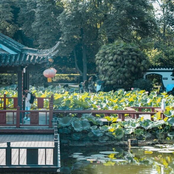 成都秋日一日游攻略：郫都宝藏路线，耍农家乐吃黄辣丁