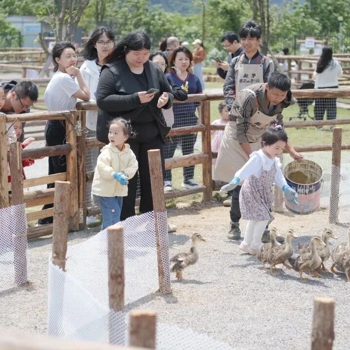 火出圈了！桂林人“反向旅游”是什么体验？