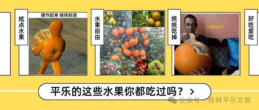 桂林平乐的这九大水果，你都吃过吗？