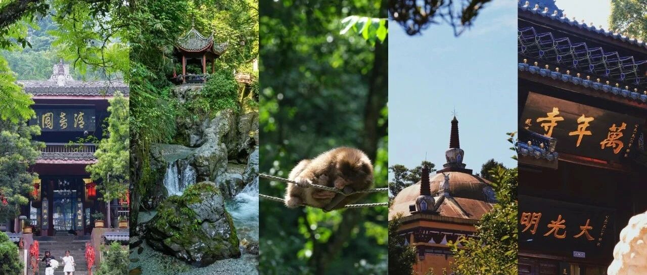 夏日里的峨眉山，这两处秘境可以把所有烦恼“拉黑”