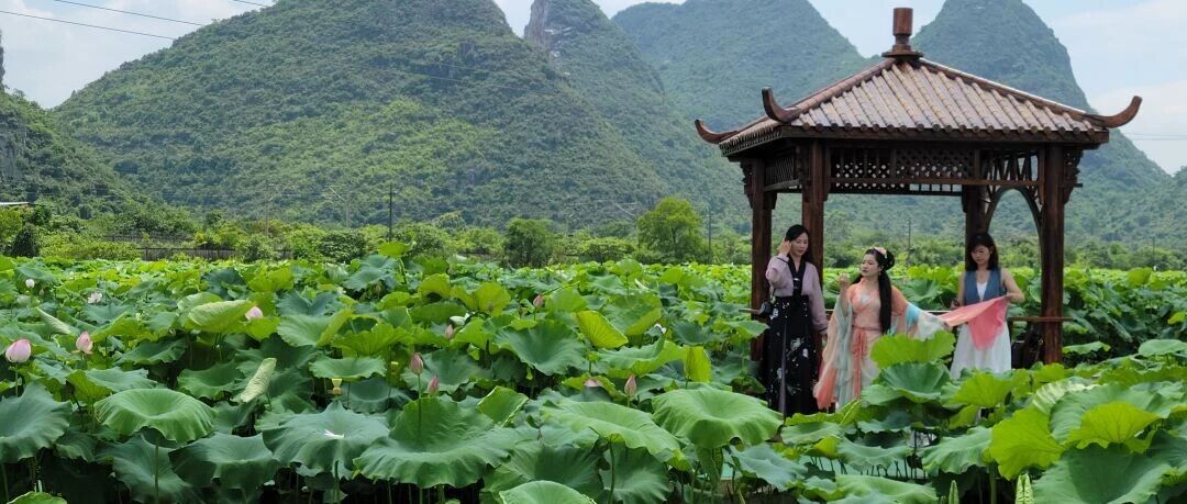小荷已露尖尖角！