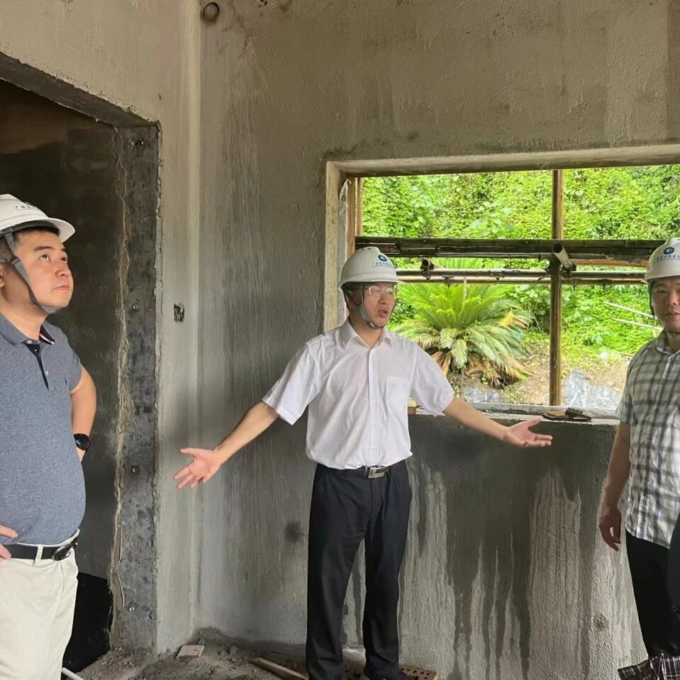 韦贵儒到富川秀水片区乡村振兴示范带项目调研