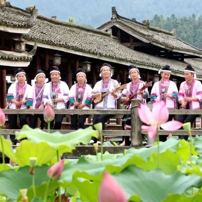 ​【巩固拓展脱贫攻坚成果 全面推进乡村振兴】侗寨夏至荷花艳；乐学厨艺促就业