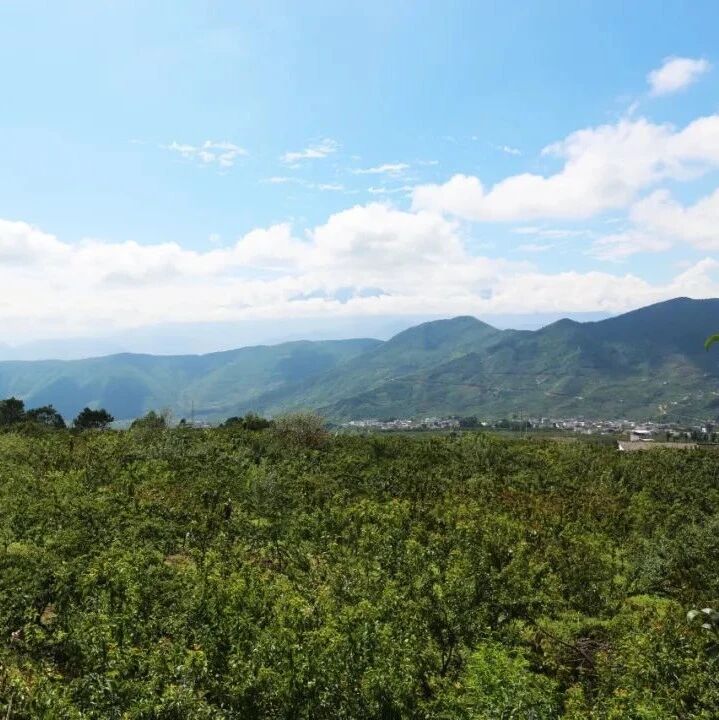 三国寻踪 | 汉源 — 筰都故地的三国秘境