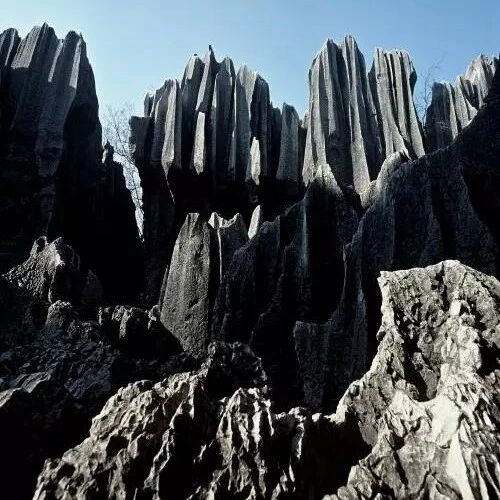 石海漫游之石头森林