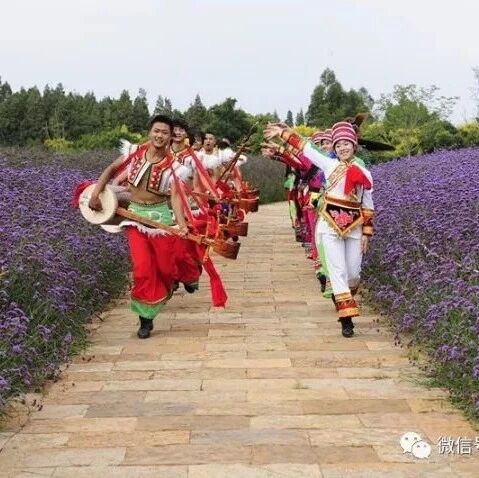 体验石林——风情画卷