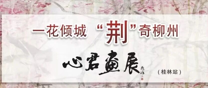 展览预告 | 一花倾城 “荆”奇柳州心君画展（桂林站）