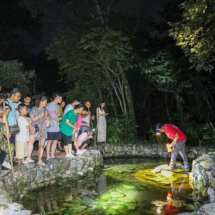 限时体验！夜探峨眉山，寻蛙觅蛇、奇遇自然，你准备好了吗？