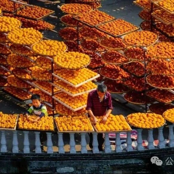 平乐柿饼技艺如何成为自治区非遗瑰宝？揭秘背后故事！