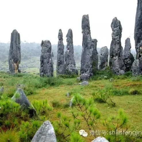 石头里的秘密：石林间的空地是怎样形成的？