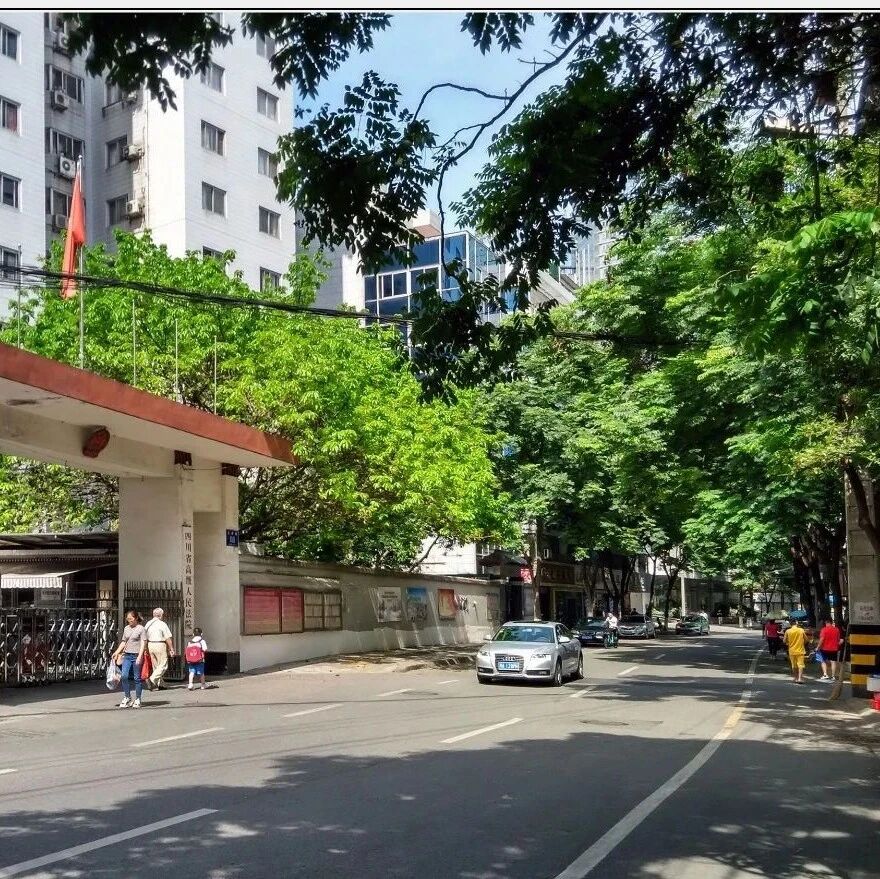 跟着李劼人，了解成都的老街之正府街