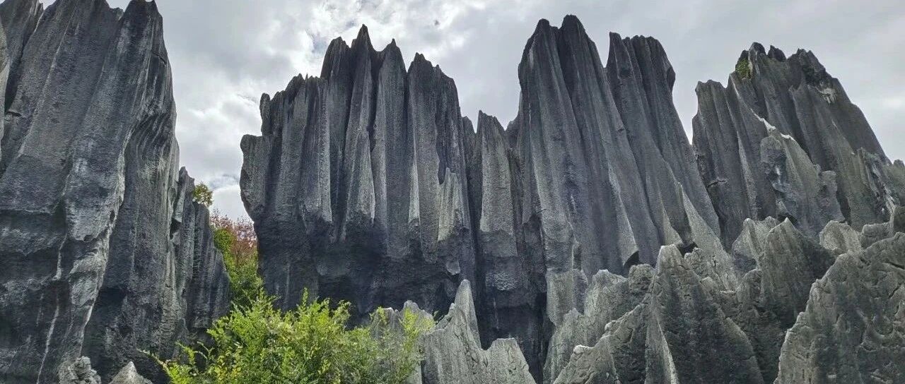 胜境石林，沉醉忘归