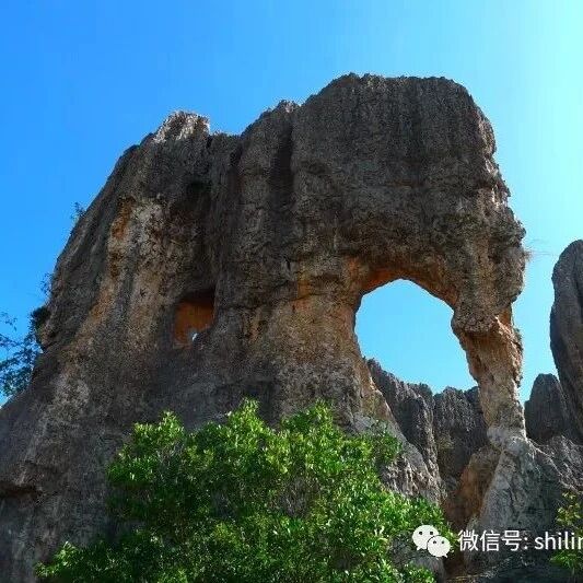 被称为“世界喀斯特地貌的精华”，云南石林到底有多特别？