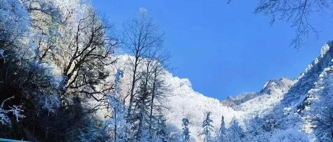 雪季狂欢倒计时！羌人谷滑雪场最强游玩攻略奉上（含吃住行娱）