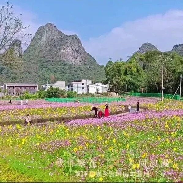 草坪回族乡新晋网红打卡点——江畔房车营地