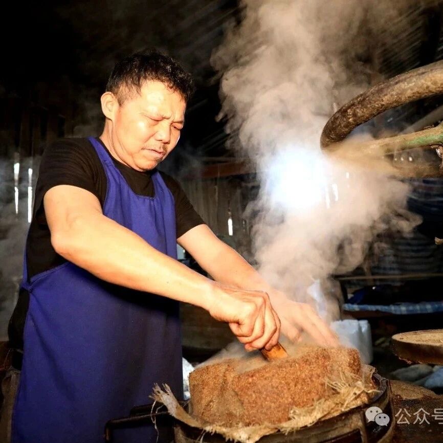 赶榨茶油供市场