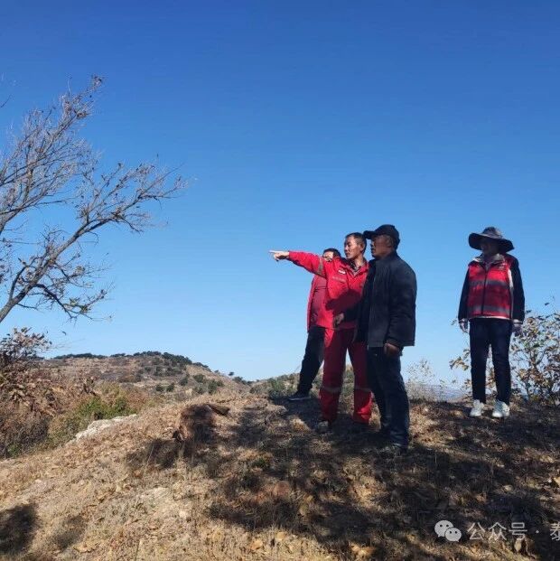 巴山管理区保质保量完成防火隔离带及林地清理任务