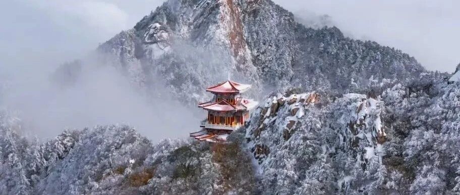 青松裹银！洛阳白云山变身雾凇绝佳观赏地，一眼心动！