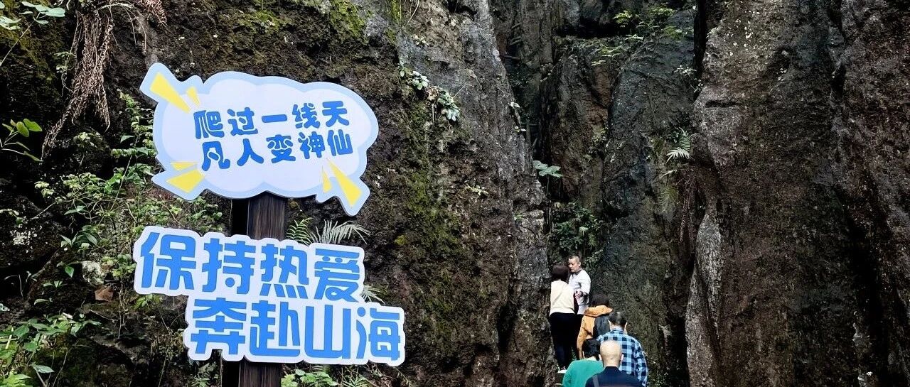 玉石林景区2025年年卡，它来了！