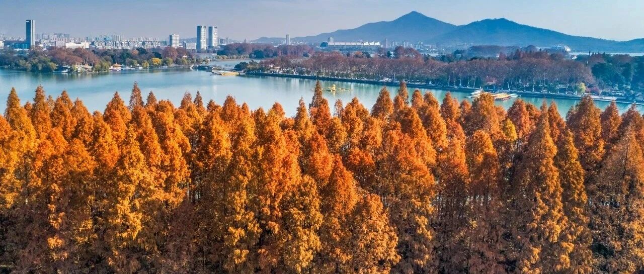 2024年最后一个月，玄武湖这样安排！