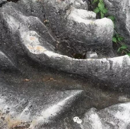 石林的皮肤：表面溶蚀