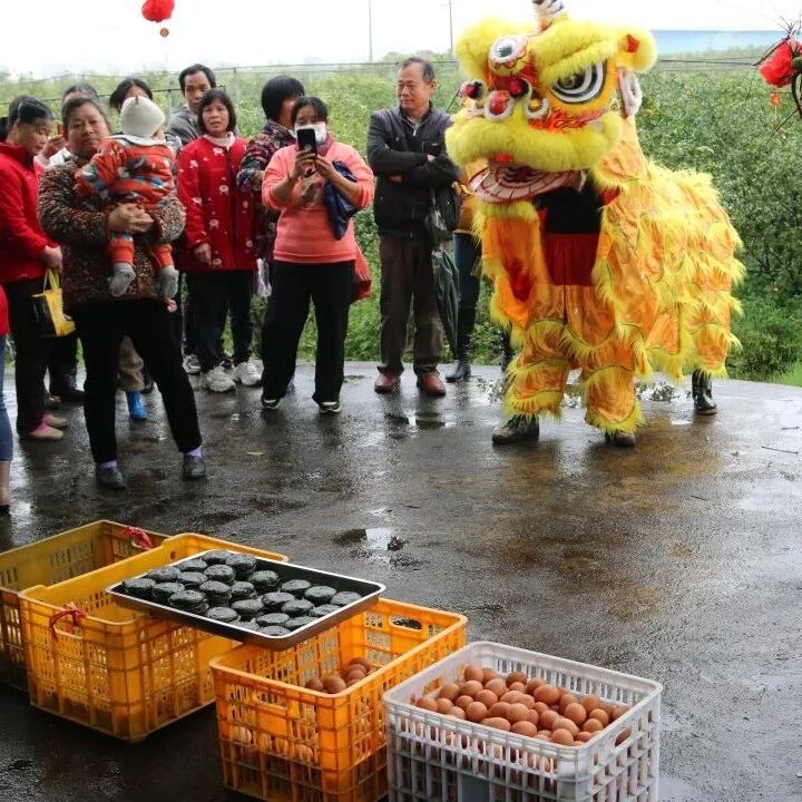 非物质文化遗产 ▏荔浦社日习俗