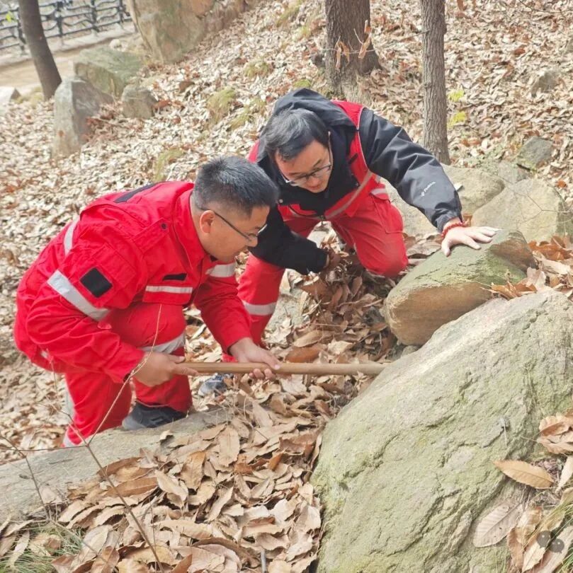 玉泉寺管理区开展越冬虫情调查 强化林业有害生物预测