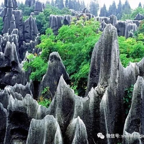 石林喀斯特